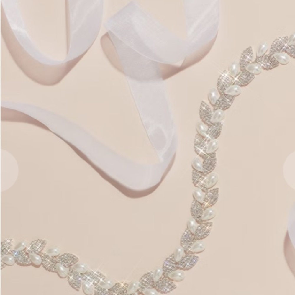 Crystal Lead Sash-David’s Bridal